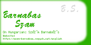 barnabas szam business card